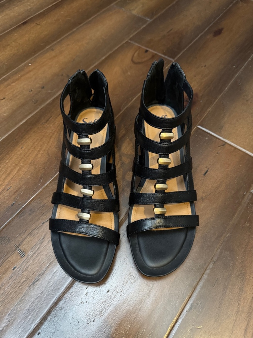 Black Strappy Gladiator Sandals with Gold Accents - Women
